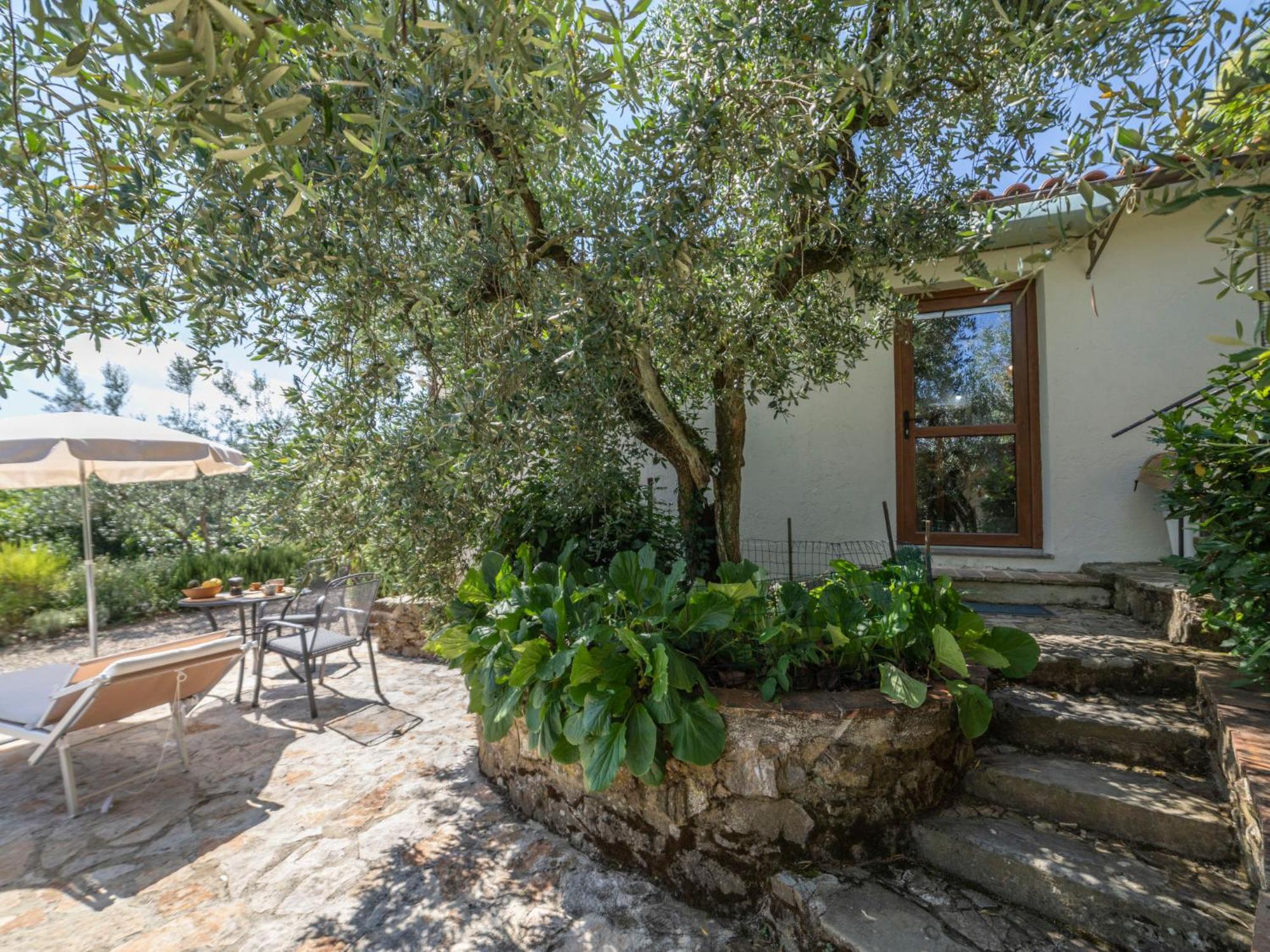 Holiday Home Olivo By Interhome Castellina in Chianti Exterior foto